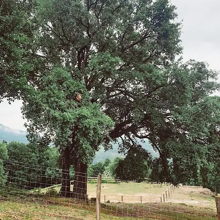 Refugio Do Sobreiro Ferienhaus