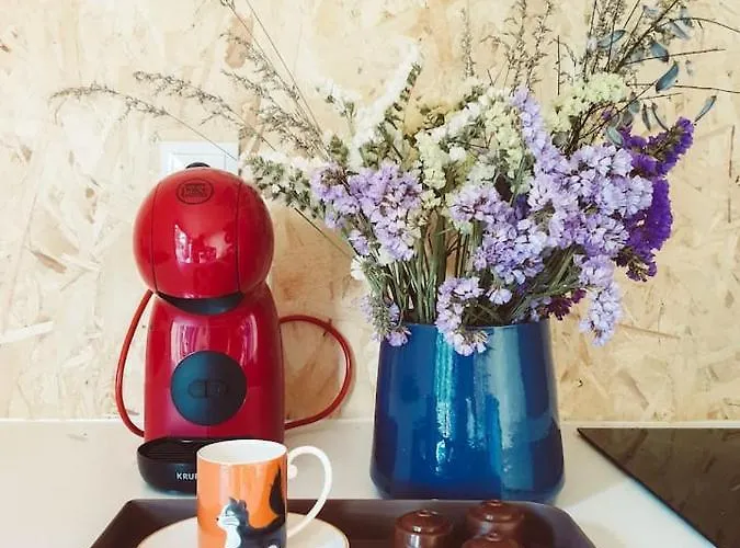 Refugio Do Sobreiro * カベセイラス・デ・バスト