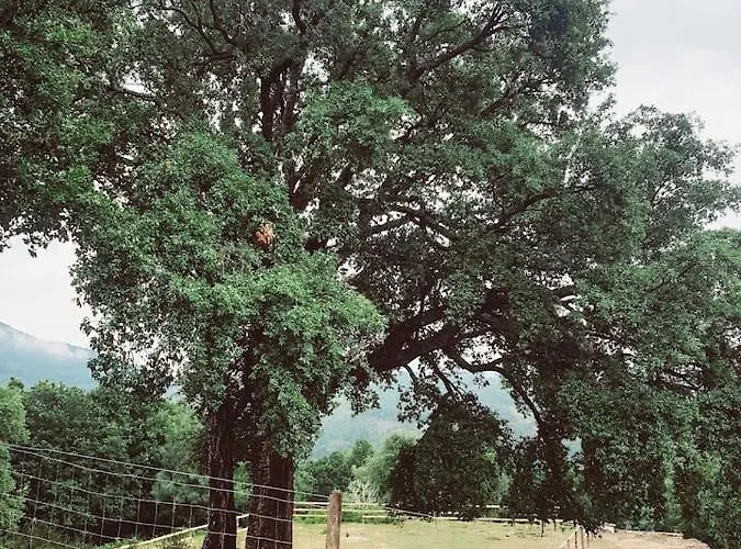 Refugio Do Sobreiro Дом отдыха